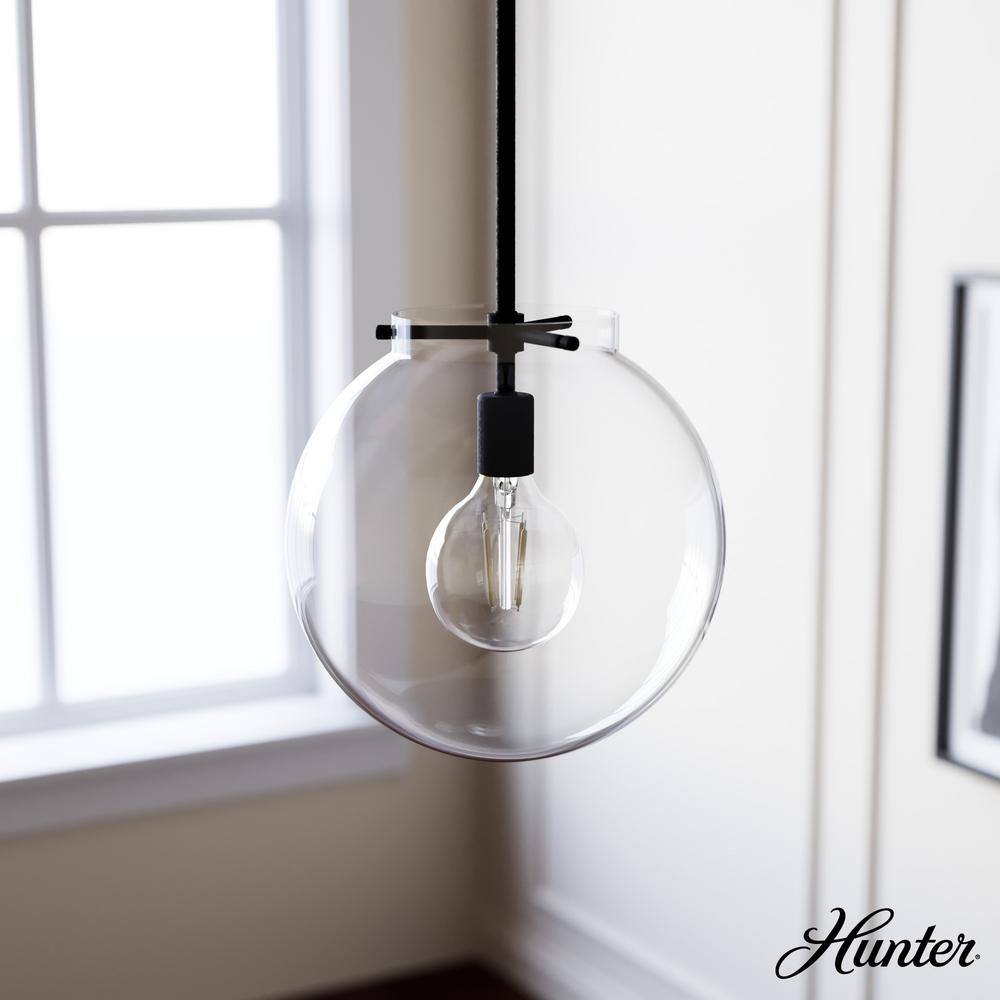 Black Iron and Clear Glass Globe Pendant Light