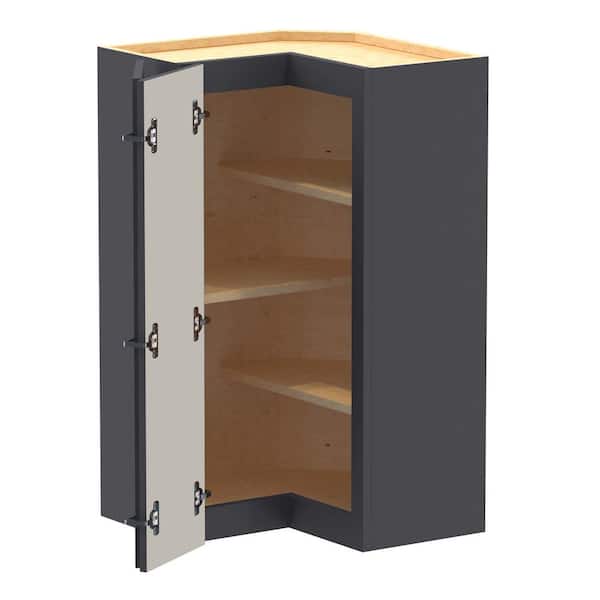 Washington 24 in. W x 24 in. D x 36 in. H Assembled Plywood Wall Kitchen Corner Cabinet in Valiant Onyx with Shelves