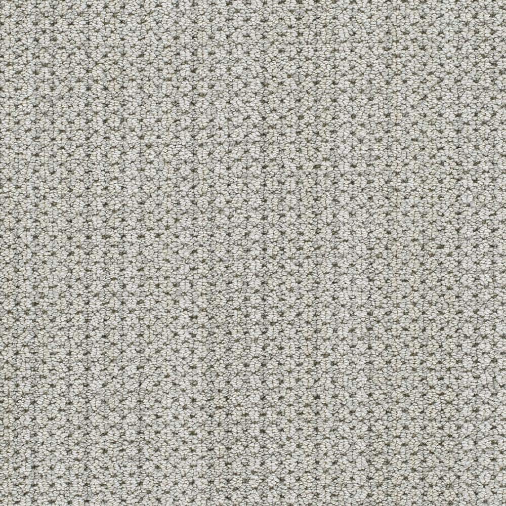 8 in. x 8 in. Pattern Carpet Sample-Cardigan-Color Wild Dreams price history on PriceWatchPro