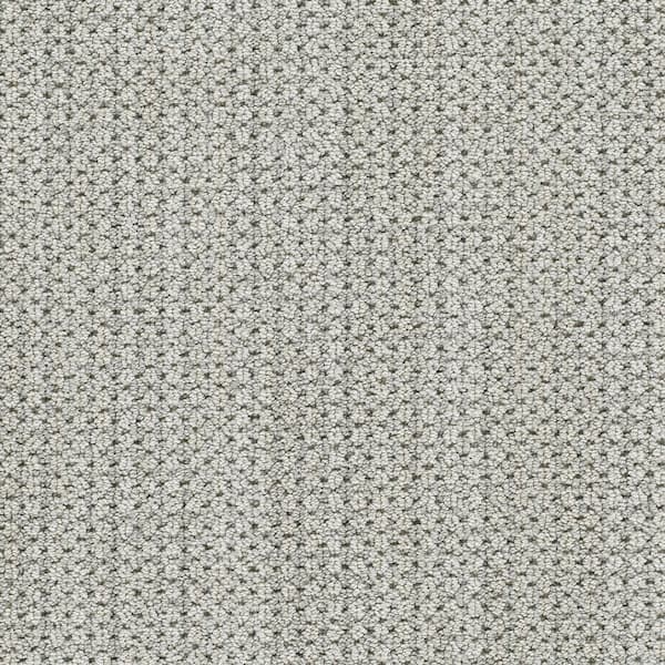 Lifeproof 8 in. x 8 in. Pattern Carpet Sample-Cardigan-Color Wild Dreams