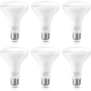 65-Watt Equivalent BR30 Bright Happy General Purpose LED Bulbs 5000K Daylight 1-Pack