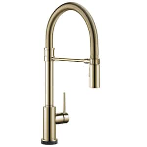 小物 s_rty09 Delta Trinsic Touch2O with Touchless Technology Single Handle Pull