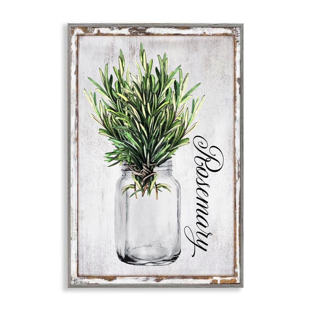 Rustic Garden Rosemary by Creatif Belle Gray Framed Nature Giclee Art Print 18 in. x 12 in. price history on PriceWatchPro