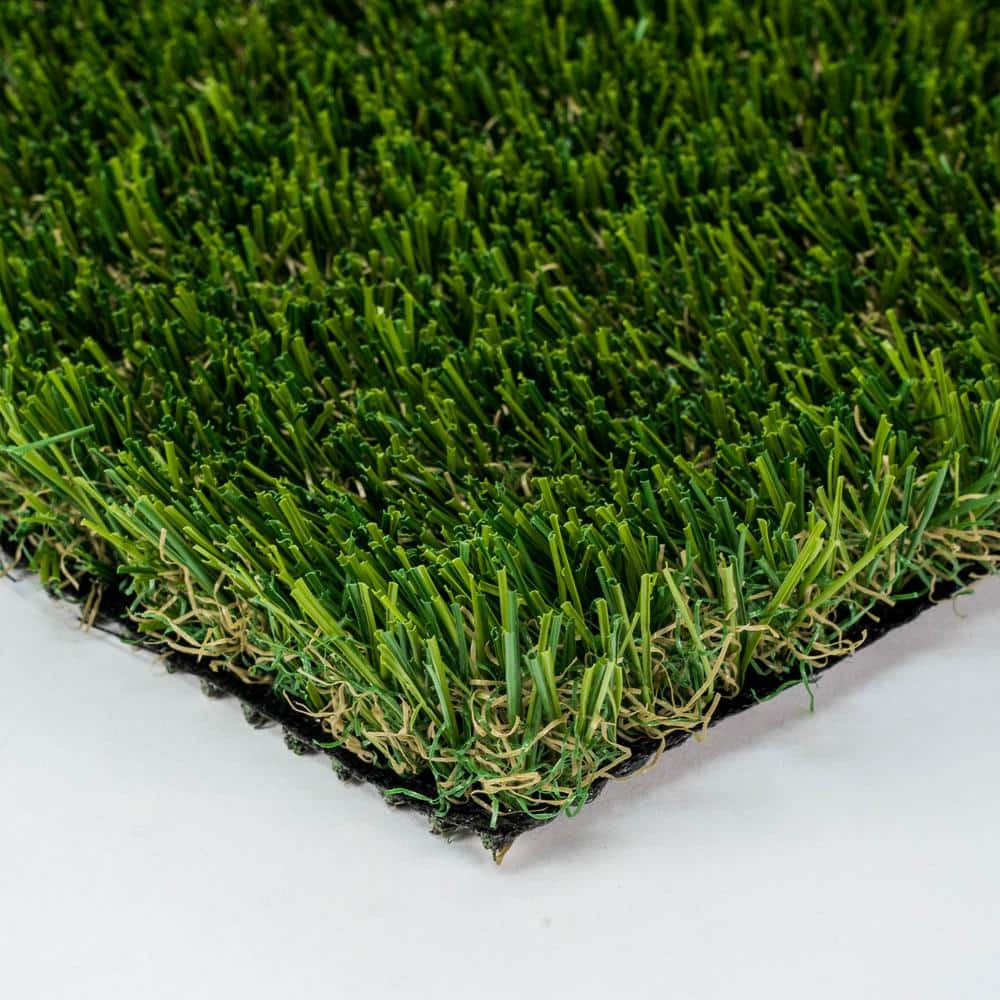 Reviews for GREENLINE ARTIFICIAL GRASS Santa Monica Fescue 15 ft. Wide ...