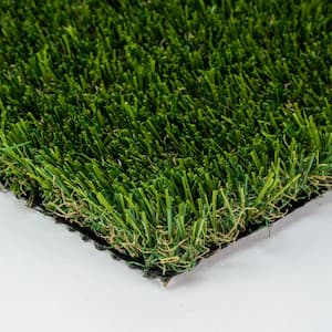 Santa Monica Fescue 15 ft. Wide x Cut to Length Green Artificial Grass Carpet