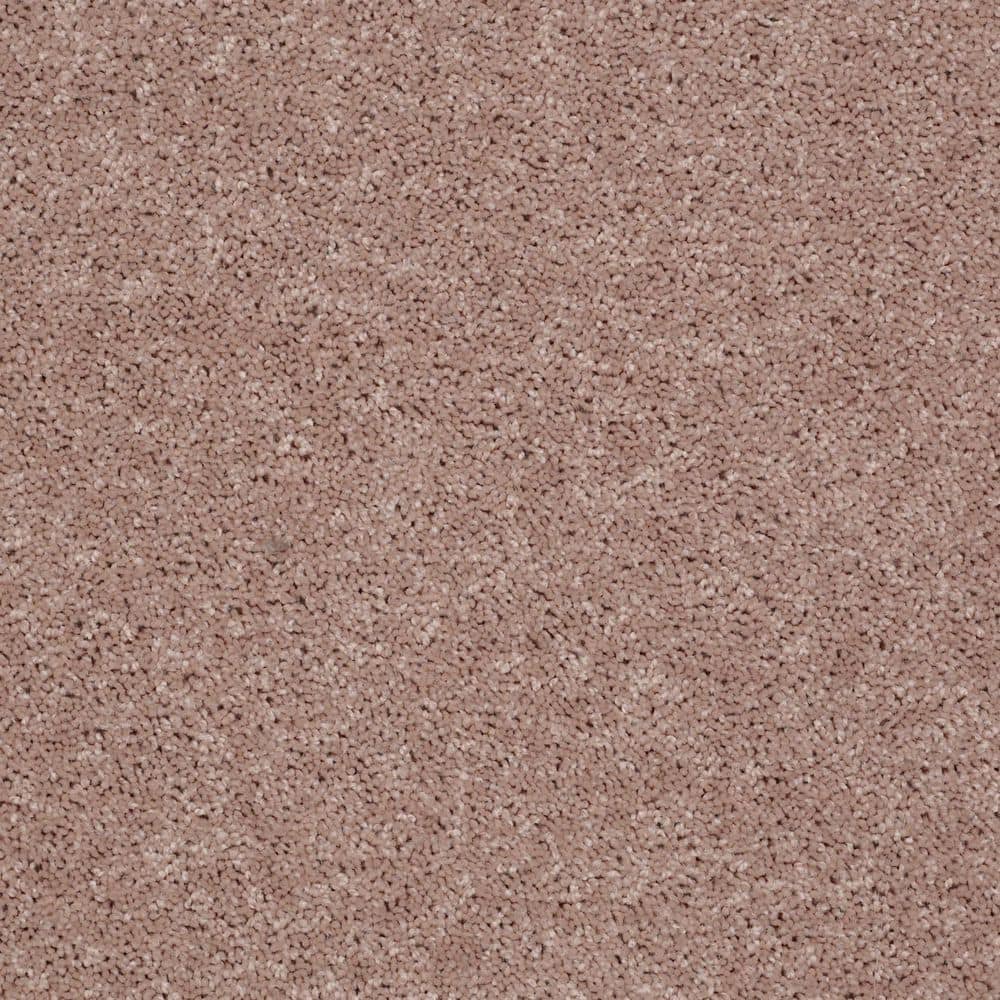 8 in. x 8 in. Texture Carpet Sample - Cottage Comforts - Color Caramel Froth price history on PriceWatchPro