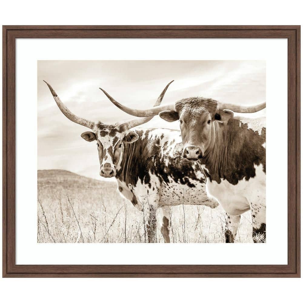 "Florence ""Sepia Texas Longhorn Cattle in Pasture"" by The Creative Bunch Studio Animals Framed Art Print 22 in. x 26 in." price history on PriceWatchPro