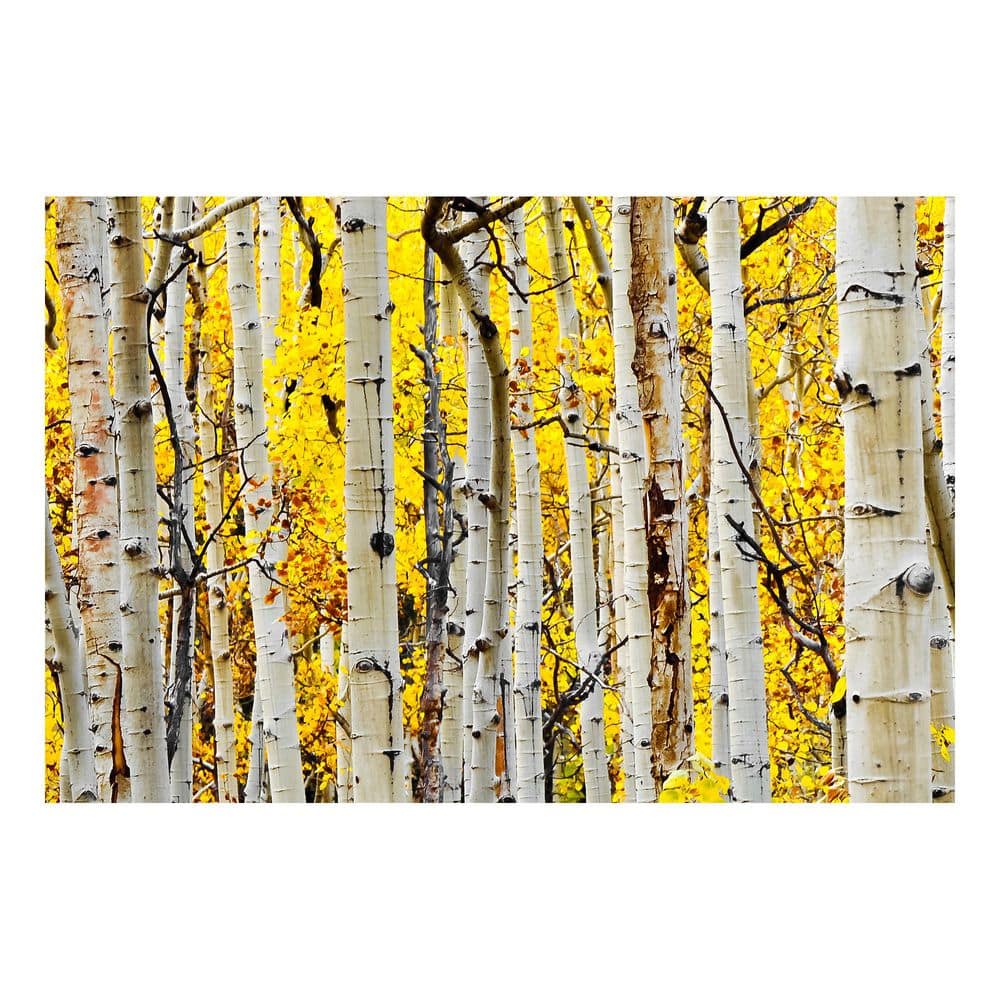 1-Piece Unframed Graphic Print Nature Art Print 40 in. x 60 in. price history on PriceWatchPro