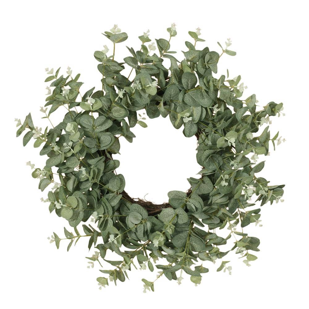Dore 24 in. Eucalyptus Artificial Christmas Wreath price history on PriceWatchPro