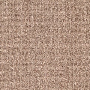 Sicily - Fairview Taupe - Brown 15 ft. 46.8 oz. SD Nylon Pattern Installed Carpet