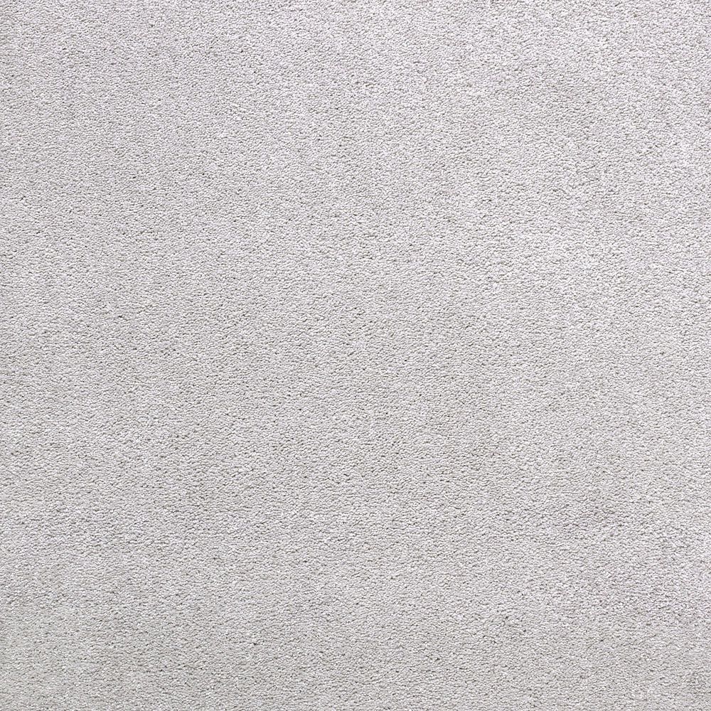 8 in. x 8 in. Texture Carpet Sample - Appreciate II - Color Morning Shadow price history on PriceWatchPro