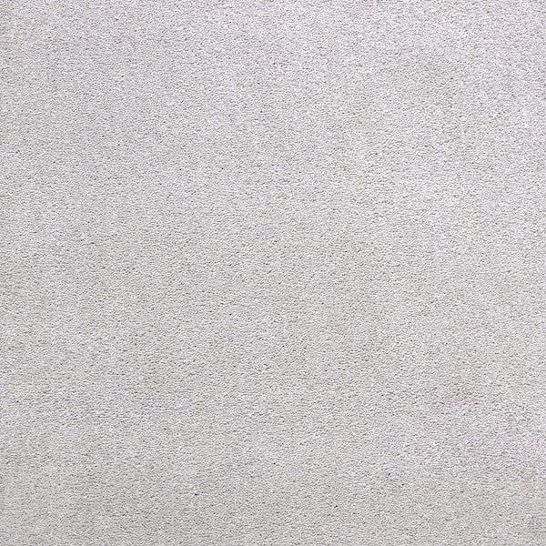 Mohawk 8 in. x 8 in. Texture Carpet Sample - Appreciate II - Color Morning Shadow