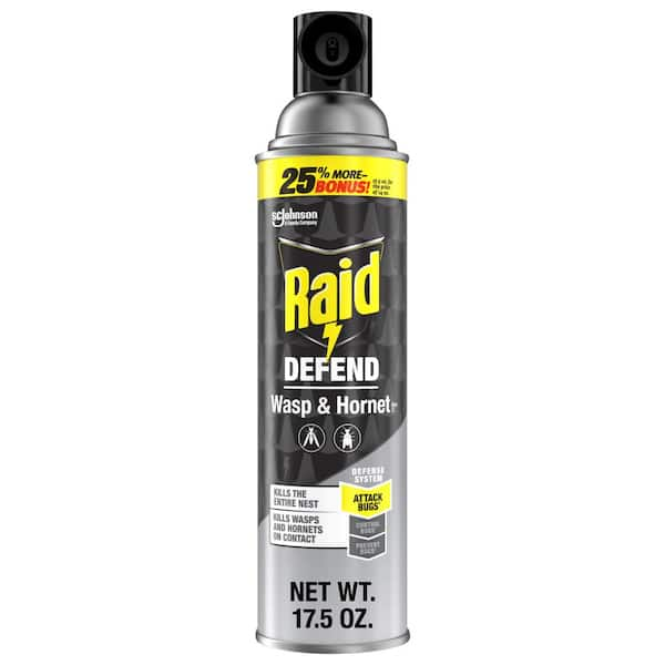 Reviews for Raid Wasp and Hornet Killer, Stinging Bug Insecticide for ...