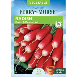 Radish French Breakfast Vegetable Seed