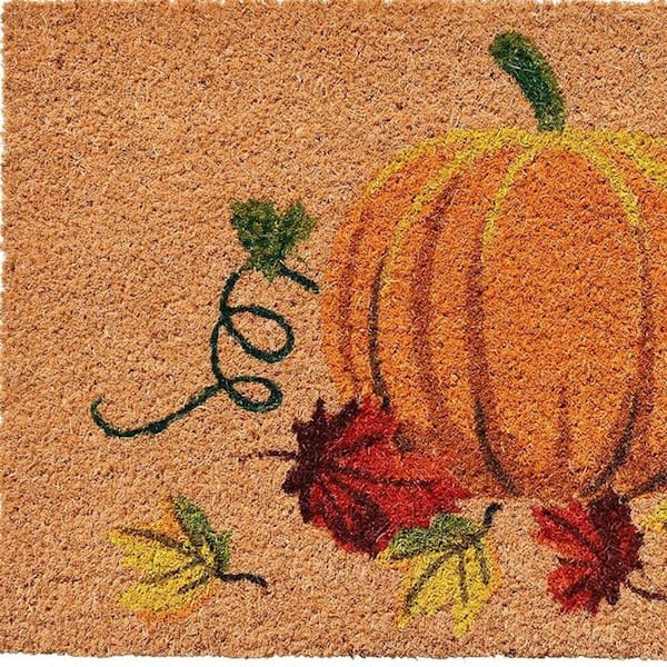 Multi-Colored 29 in. x 17 in. Coir Non-Slip Indoor / Outdoor Door Mat