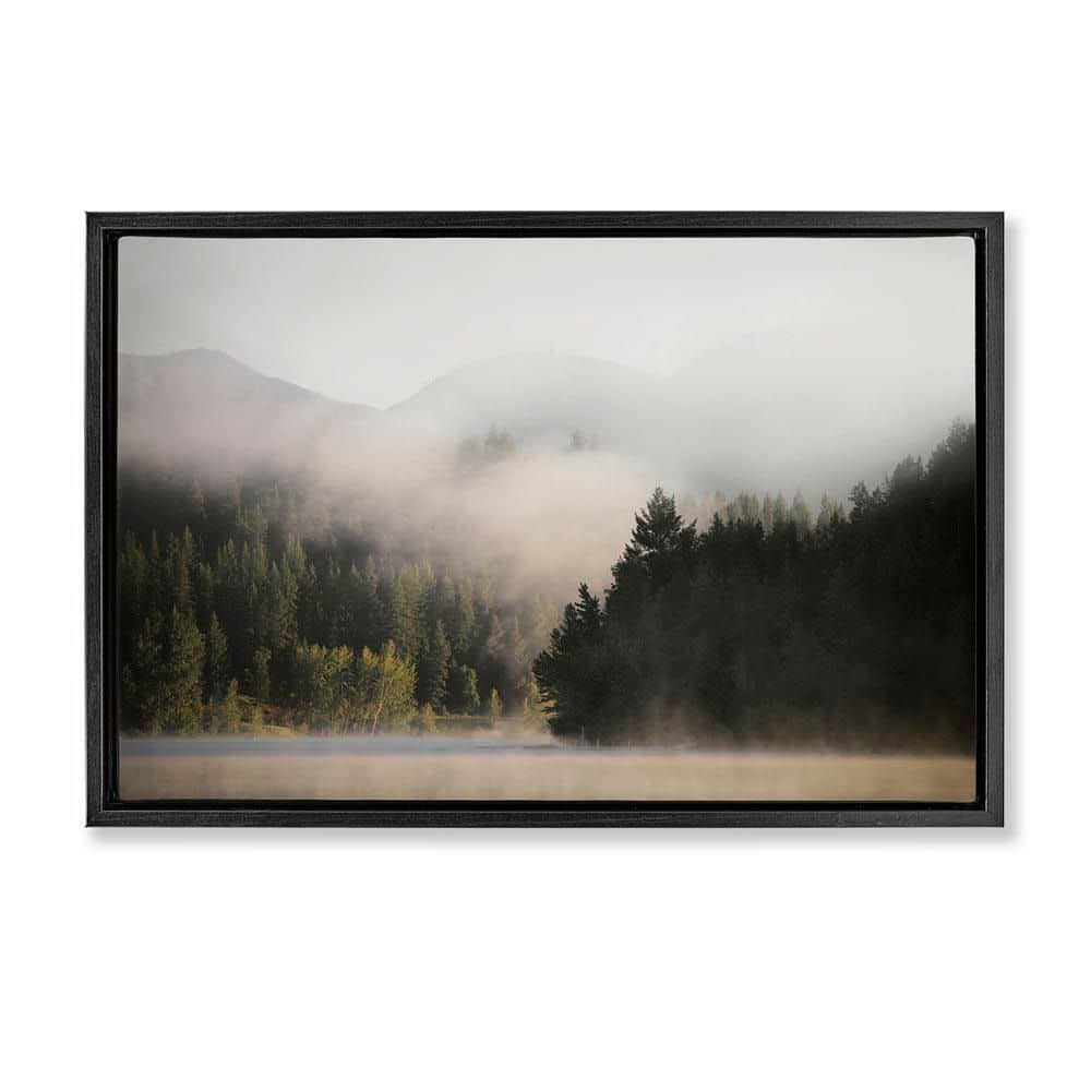 Rolling Fog Woodland View by Carol Robinson Black Floater Frame Nature Graphic Art Print 21 in. x 31 in. price history on PriceWatchPro