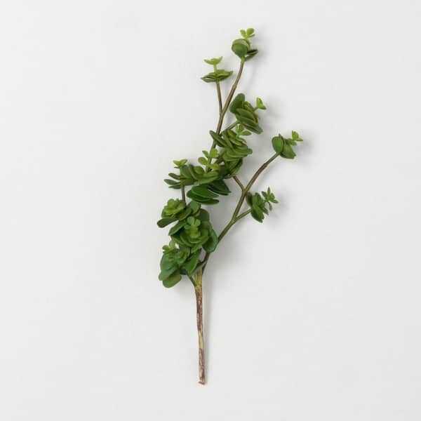 SULLIVANS Artificial 13 in. Green Sedum Succulent Spray