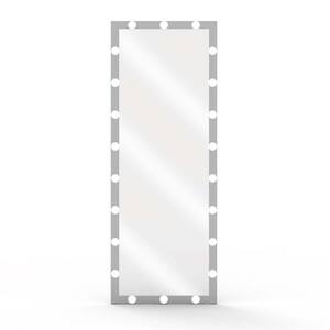 24 in. W x 63 in. H Modern Rectangle Framed Silver Mirror with LED Bulbs Touch