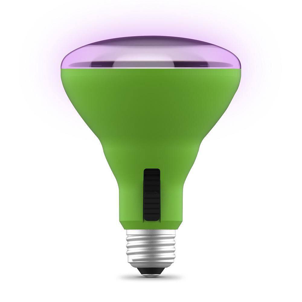 Feit Electric 9Watt BR30 Selectable Spectrum for Seeding/Growing