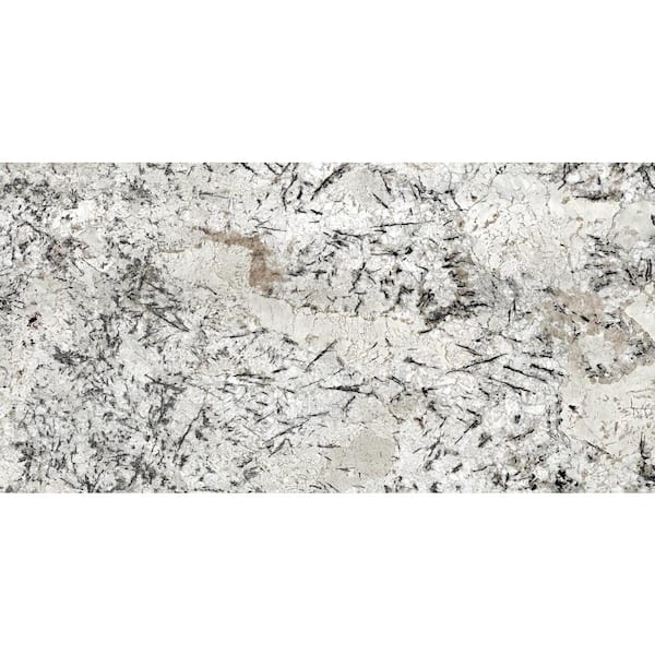 Granite Countertop Sample in Delicatus White