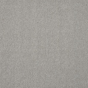 Feather - Stone - Gray 12 ft. 54 oz. Wool Texture Installed Carpet