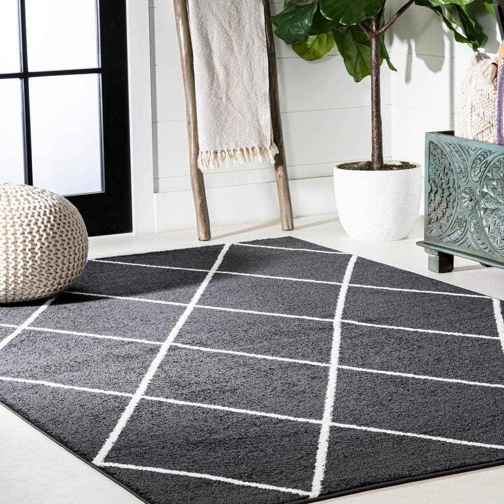 Cole Black and White Diamond Trellis 4' x 6' Area Rug