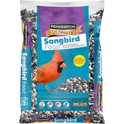 Bird Seed & Food