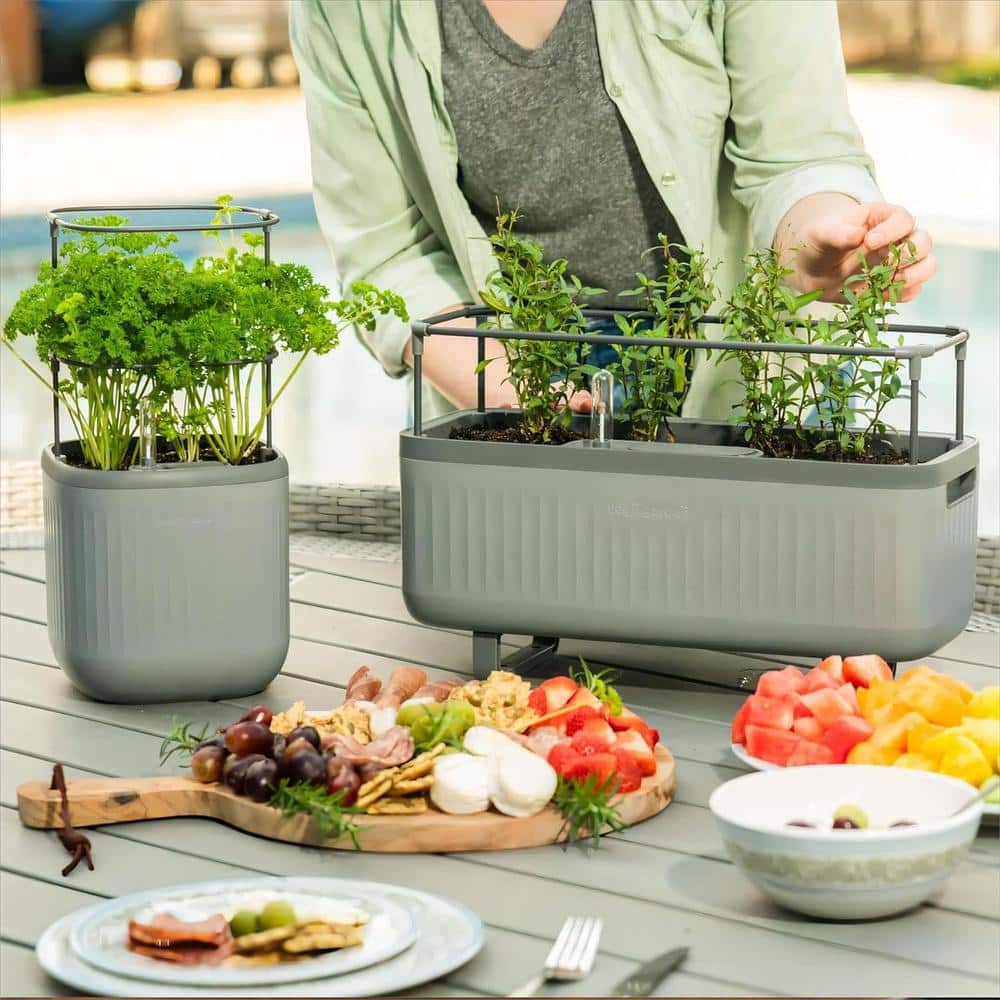 Fog Gray Self-Watering Herb Planter Box with Trellis