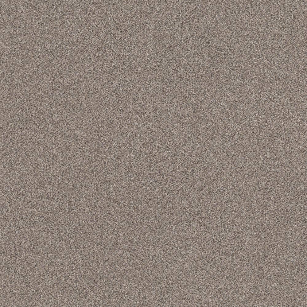 8 in x 8 in.  Texture Carpet Sample - Columbus I - Color London Fog price history on PriceWatchPro