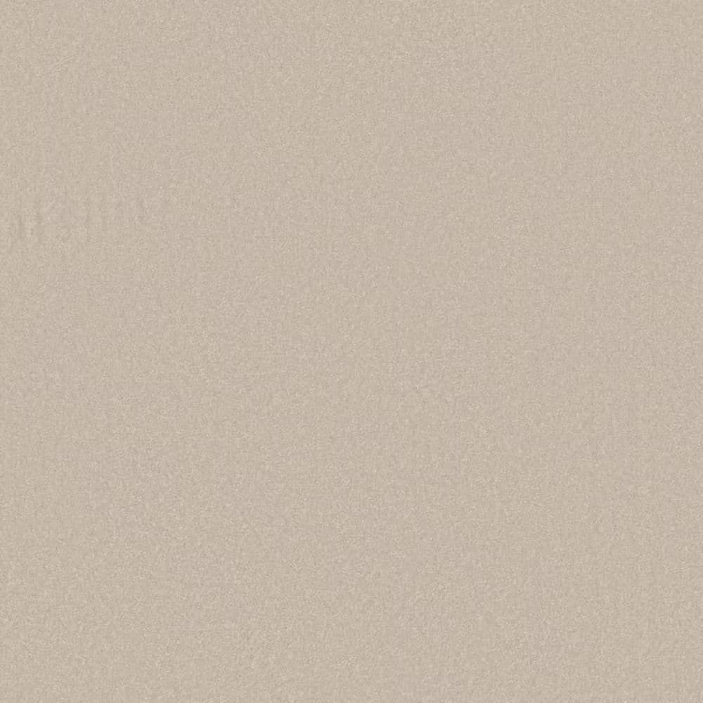 8 in. x 8 in. Texture Carpet Sample-Park Royal II-Color Stucco price history on PriceWatchPro