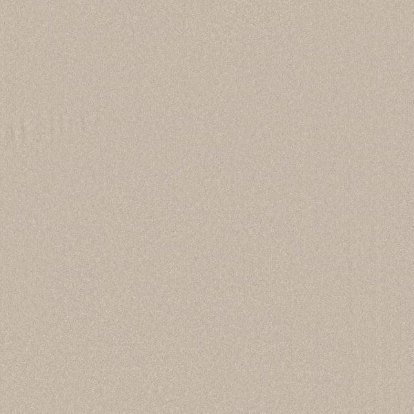 8 in. x 8 in. Texture Carpet Sample-Park Royal I-Color Stucco