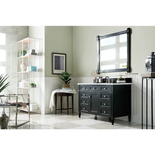 Brittany 46.8 in. W x 23 in. D x 32.8 in. H Single Bath Vanity Cabinet Without Top in Black Onyx