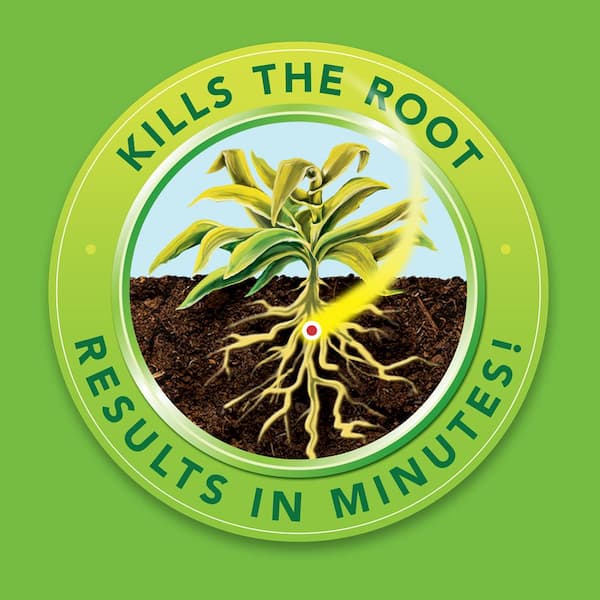 Natria 1 3 Gal Powered Sprayer Natria Grass And Weed Control With Root Kill 706510a The Home Depot