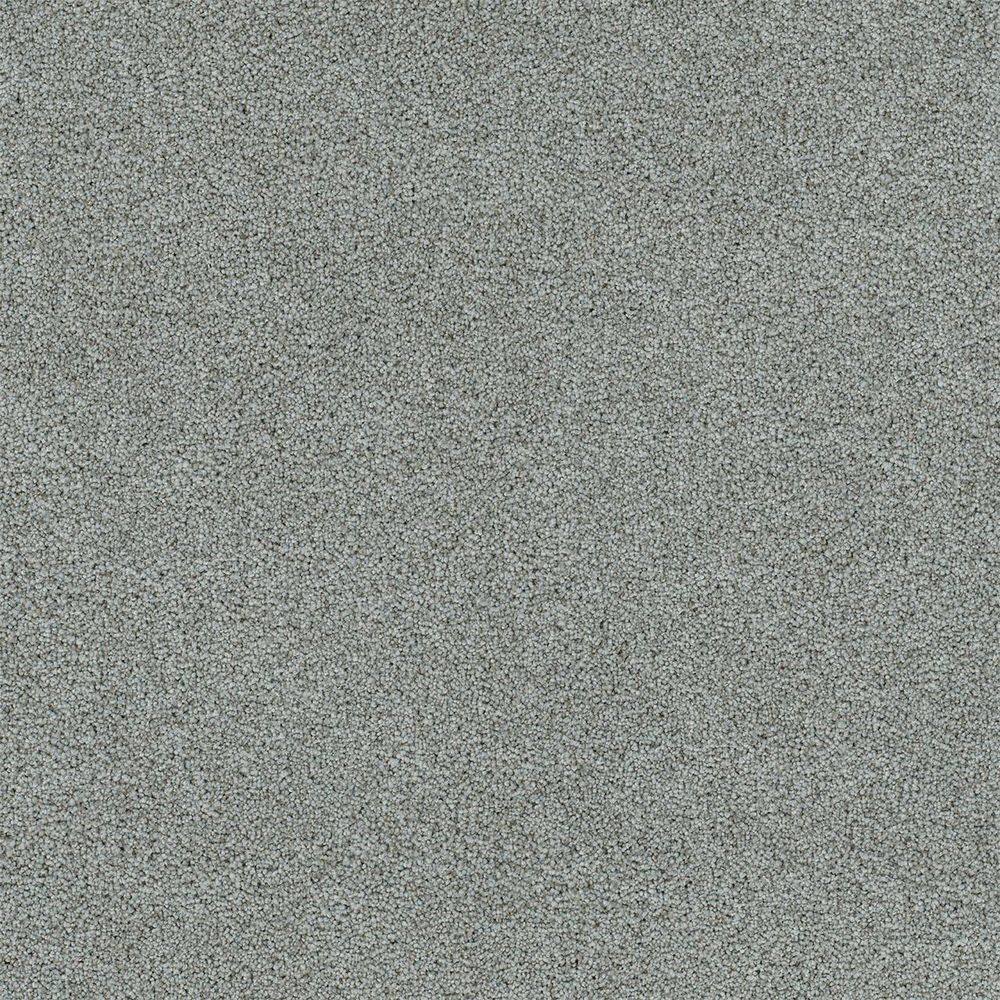 8 in. x 8 in. Texture Carpet Sample-Cinderella Soft III-Color Relaxed price history on PriceWatchPro
