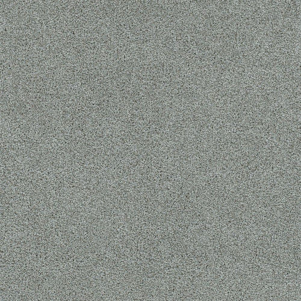 8 in. x 8 in. Texture Carpet Sample-Cinderella Soft II-Color Relaxed price history on PriceWatchPro