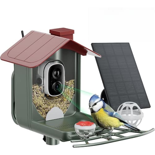 Bird Feeder with Camera Outdoor Solar 2K HD Live Video AI
