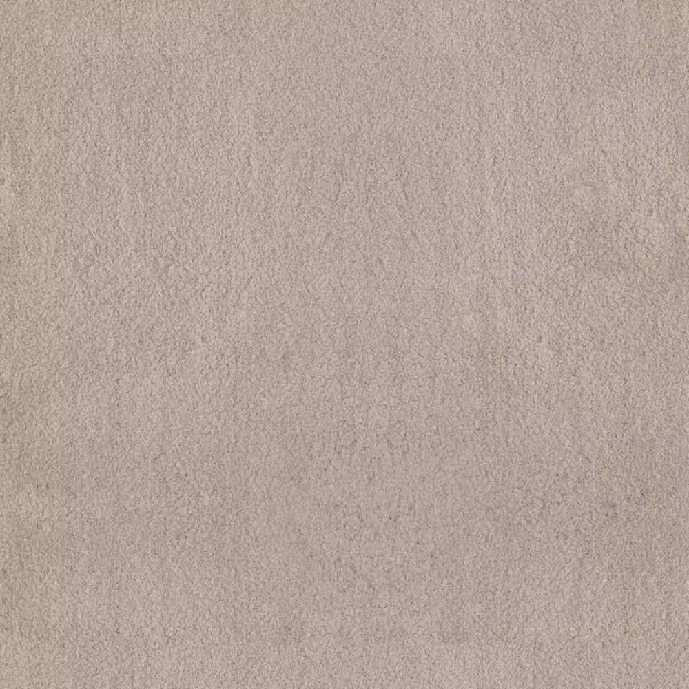 8 in. x 8 in. Texture Carpet Sample-Dreamy Daze I-Color Cinder price history on PriceWatchPro