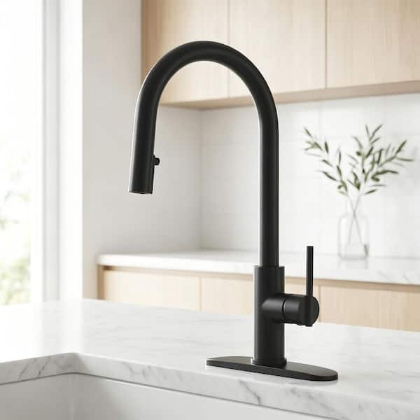 Single Handle Pull Out Sprayer Kitchen Faucet in Stainless Steel Matte Black