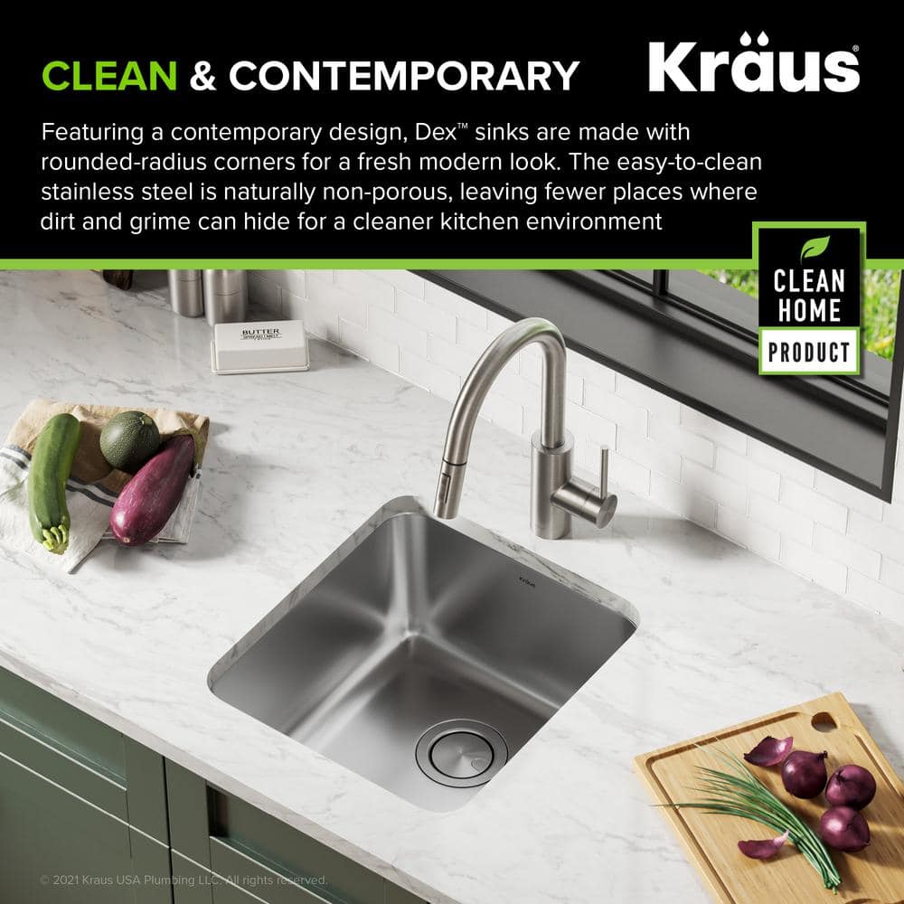 Dex 17" Stainless Steel Single Bowl Undermount Kitchen Sink