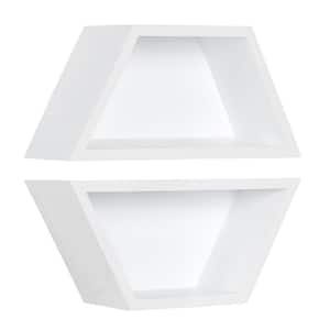 Camellia 16 in. x 7 in. x 5 in. White Decorative Wall Shelf