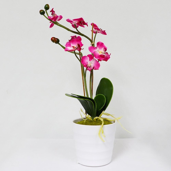 Puleo International 16 in. Indoor Artificial Potted Orchid