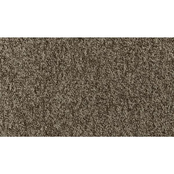 TrafficMaster 8 in. x 8 in. Pattern Loop Carpet Sample - Hanville - Color Gable