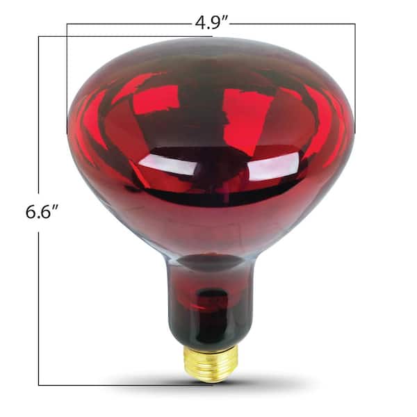 Electric BR40 250-Watt 120-Volt Incandescent Red Heat Lamp Light Bulb 250R40/10 The Home Depot