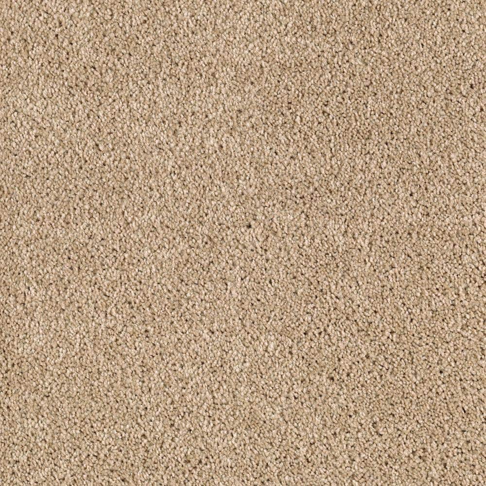 8 in. x 8 in. Texture Carpet Sample - Ambrosina I -Color Desert Villa price history on PriceWatchPro