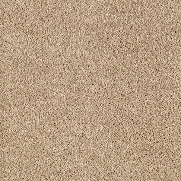 Lifeproof 8 in. x 8 in. Texture Carpet Sample - Ambrosina I -Color Desert Villa