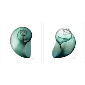 "Shimmering Snail" Unframed Free Floating Tempered Art Glass Wall Art Print 24 in. x 24 in. (Set of 2)
