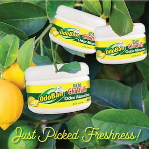 Real Citrus 8 oz. Lemon Solid Odor Absorber, Odor Eliminator for Musty Smell in Home, Bathroom, Kitchen, Pet Areas