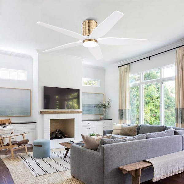 MLiAN 54 Inch.(4.5ft) 5 Blades Dc Motor Indoor Flush Mount Ceiling