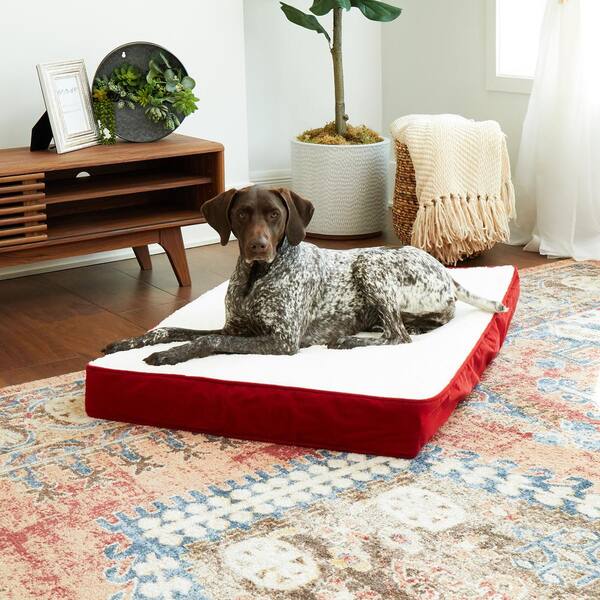 https://images.thdstatic.com/productImages/217111f4-e9a7-46b0-b28f-81d9db5759c7/svn/crimson-happy-hounds-dog-beds-db700m-crimson-c3_600.jpg