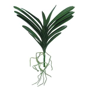 17 in. Artificial Vanda Orchid Leaf Stem Tropical Plant Greenery Foliage Spray Branch (Set of 2)